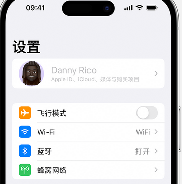 太和appleID维修服务iPhone设置中Apple ID显示为灰色无法使用