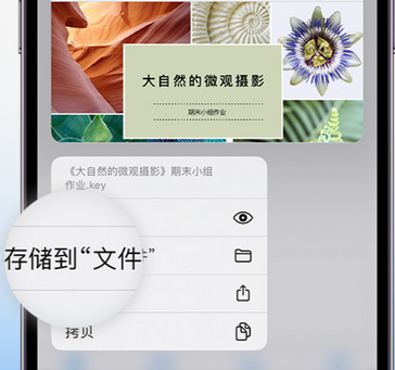 太和apple维修中心分享iPhone文件应用中存储和找到下载文件