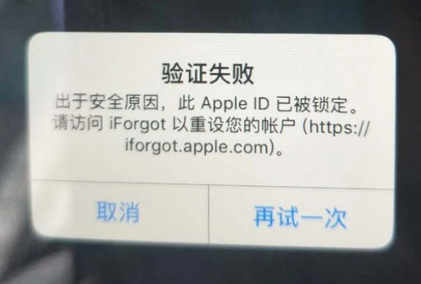 太和iPhone维修分享iPhone上正常登录或使用AppleID怎么办 