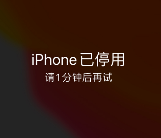 太和苹果手机维修分享:iPhone 显示“不可用”或“已停用”怎么办？还能保留数据吗？ 