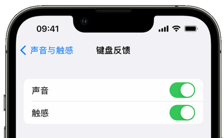 太和苹果手机维修分享iPhone 14触感键盘使用方法 