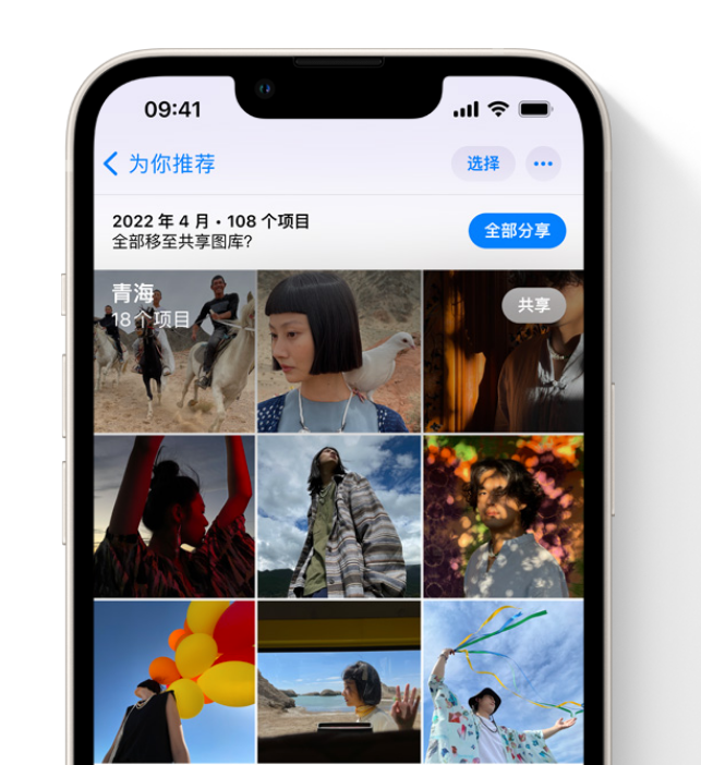 太和苹果维修网点分享在 iPhone 上使用共享图库 