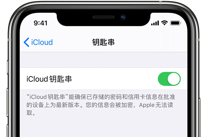 太和苹果手机维修分享在 iPhone 上开启 iCloud 钥匙串之后会储存哪些信息 