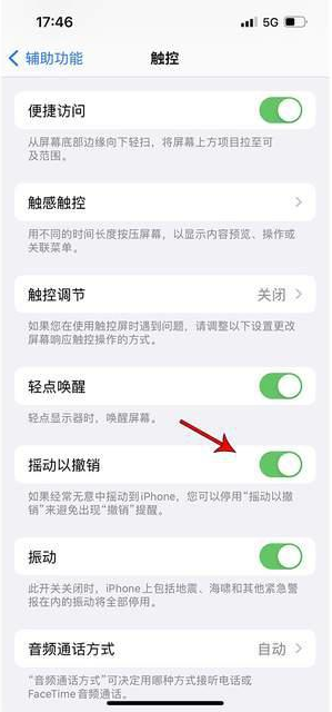 太和苹果手机维修分享iPhone手机如何设置摇一摇删除文字 