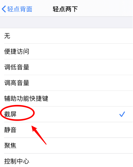 太和苹果手机维修分享iPhone12如何启用双击截屏 